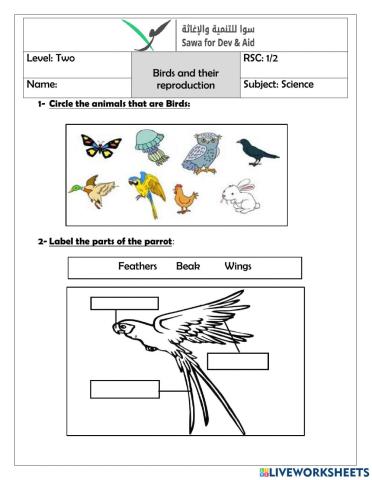 Birds and their reproduction