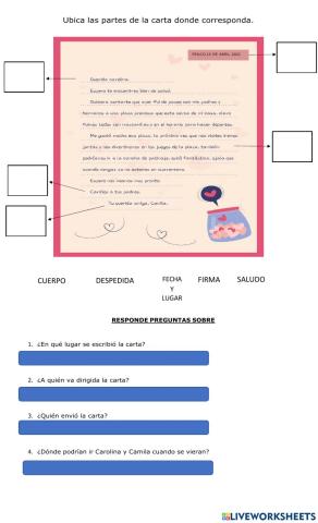 La carta y sus partes