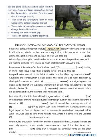 Rhino Horn Trade