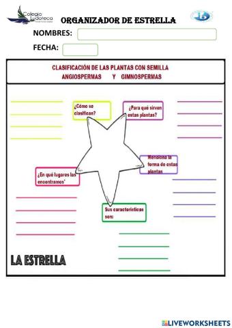 Organizador plantas sin semilla