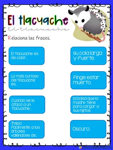 El tlacuache