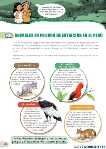 Comprensión lectora