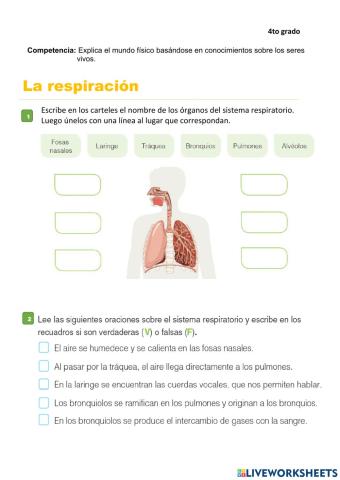 La respiración