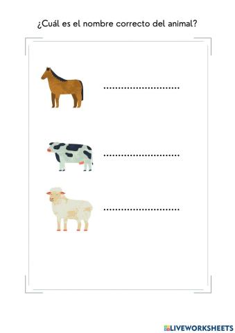 ¿Cuál es el nombre correcto del animal?