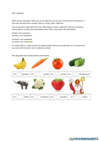 Adjectief - Nederlands