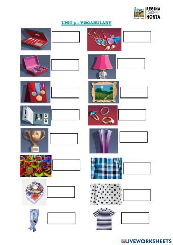Unit 5 - vocabulary