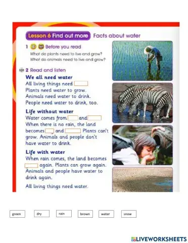 Facts About Water (BTS U8 L6)