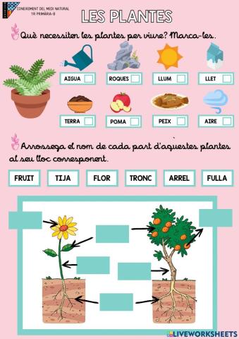 Naturals Les plantes