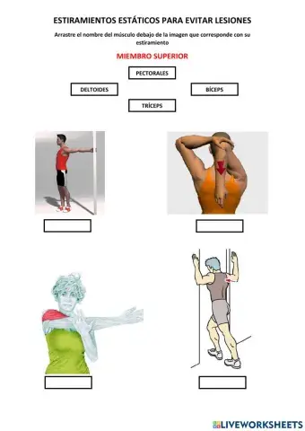Estiramientos estáticos para evitar lesiones