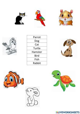 Animales Domésticos