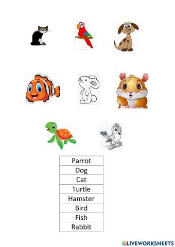 Domestic Animals3