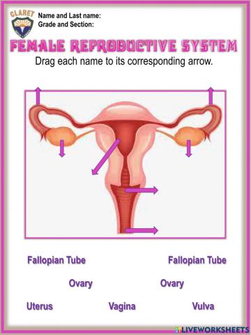 4th.grade project week 10.3