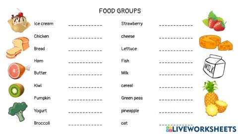 Food groups activity