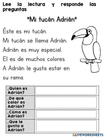 Mi tucán Adrian