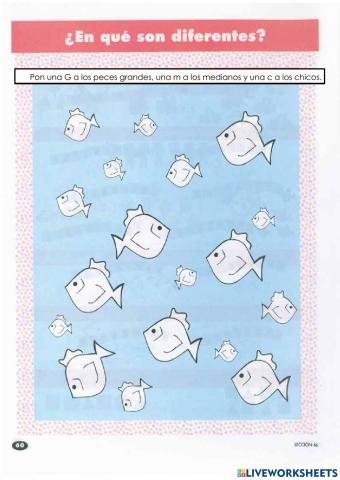 Actividad 21, en que son diferentes