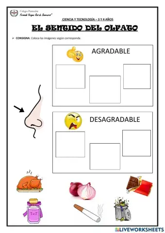 El sentido del olfato