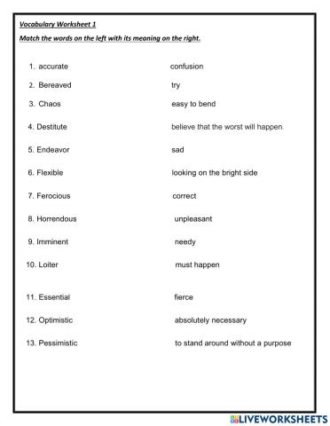 Vocabulary Worksheet1