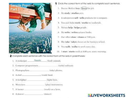 Present Simple Exercise