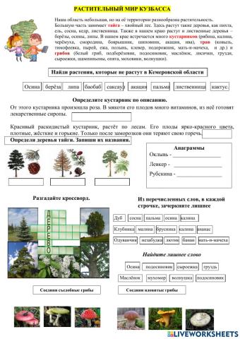 Растительный мир Кузбасса