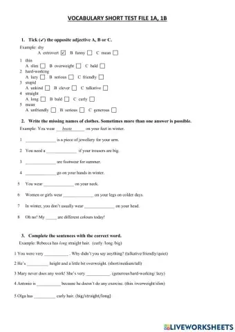 EF 3rd edition pre-interm, File 1a-b vocab test