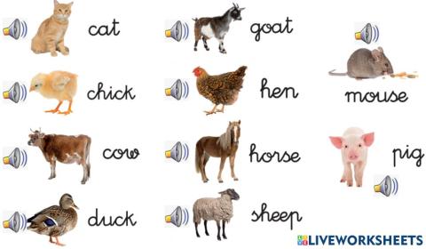 Farm animals audio
