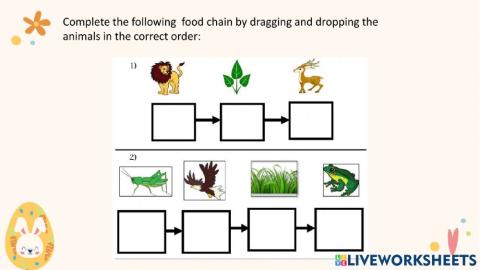 Food  chain 1