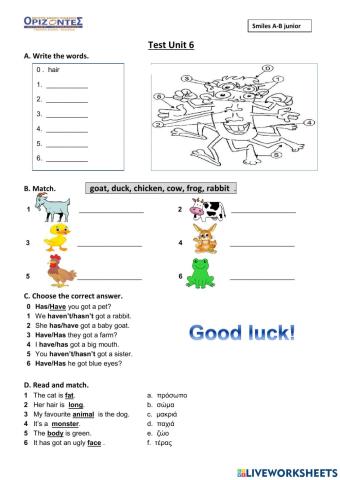 Smile's  A junior. Test 6