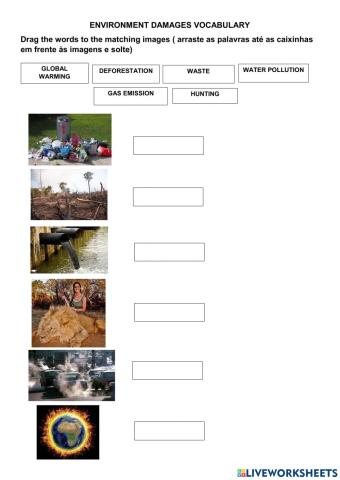Environment Damages Vocabulary