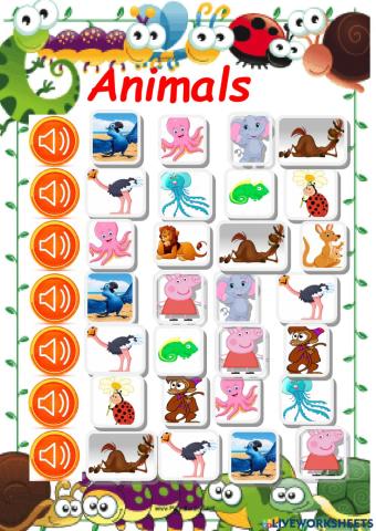Animals