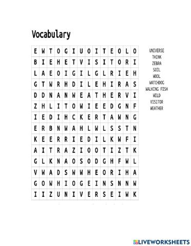 Vocabulary word search (MAY 28th)