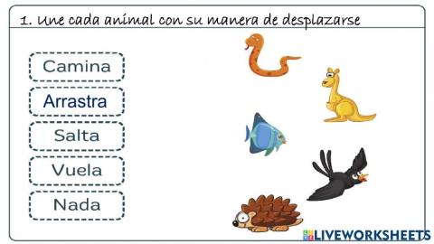 Seres vivos los animales