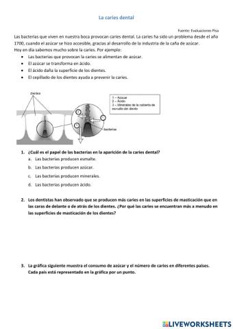 Sistema digestivo parte 1