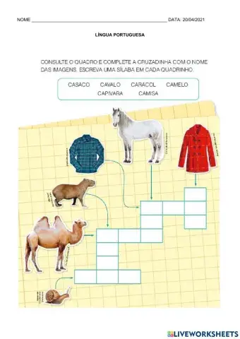 Língua portuguesa e matemática