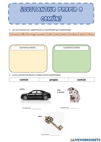 Sustantivos propios y comunes