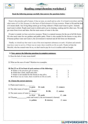 Reading Comprehension worksheet 1 2nd Term
