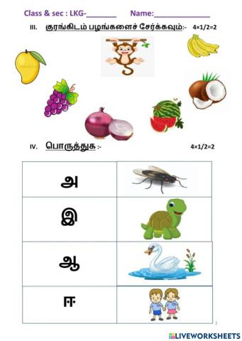 Tamil Fruits