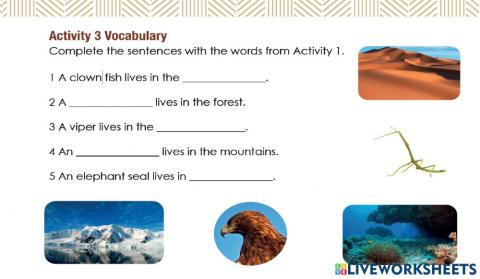 Access 6 - T3 - U8 - L1 - Act3