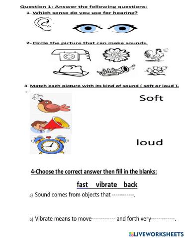 Science worksheet