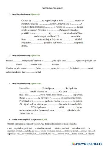 Skloňování zájmen