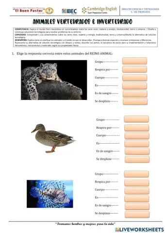 Animales Vertebrado e Invertebrado