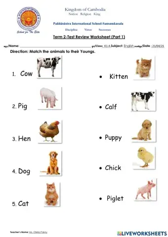 Animals and their Youngs