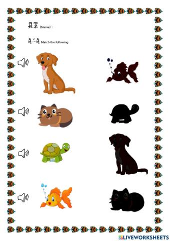 Animals-小狗小猫乌龟金鱼