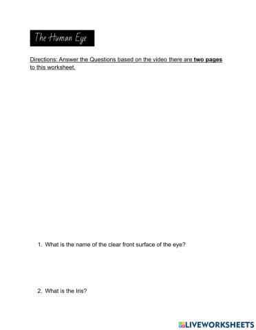The Human Eye