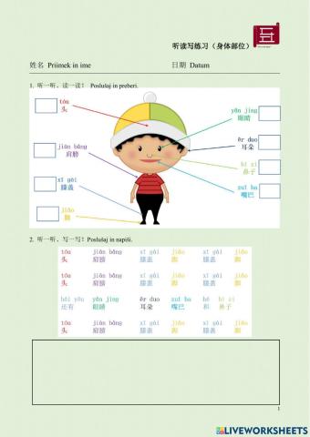 汉语 中文 听读写练习（身体部位）Chinese Listening speaking and writing practice