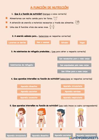 A función de nutrición