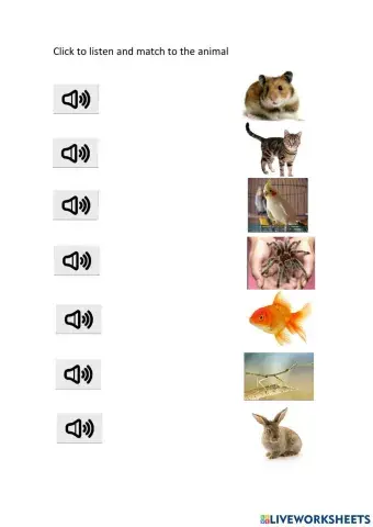 Pets Vocabulary Listening