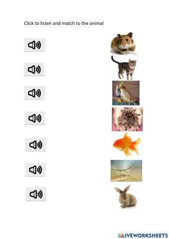 Pets Vocabulary Listening