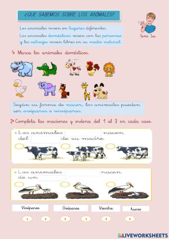 Características de los animales