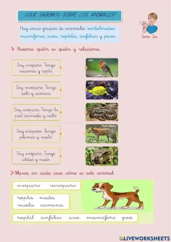 Características de los animales