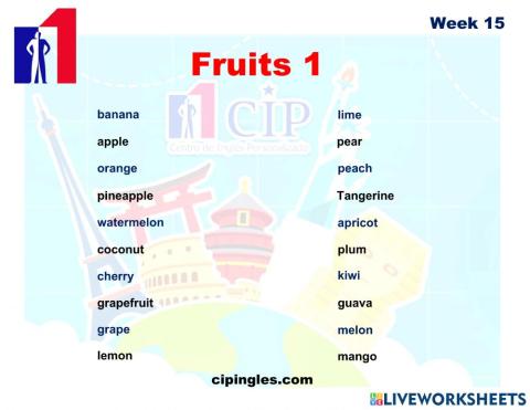 KIDS Vocabulary exam week 15